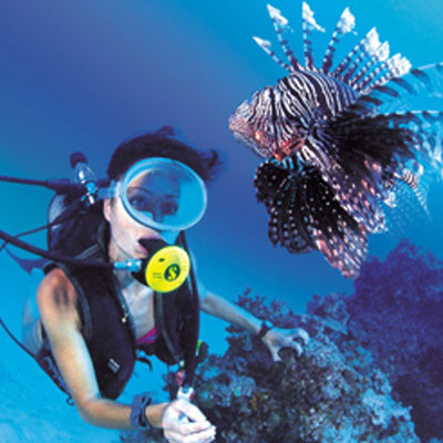 Scuba
